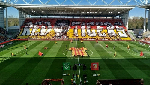 Les stades de Ligue 1 2024-2025 : guide complet